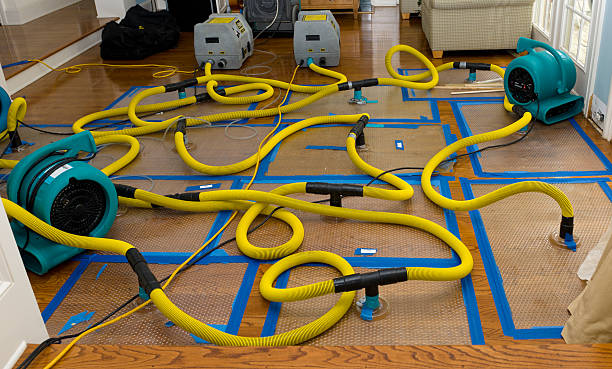 Professional Water Extraction technician working in Bayboro, NC